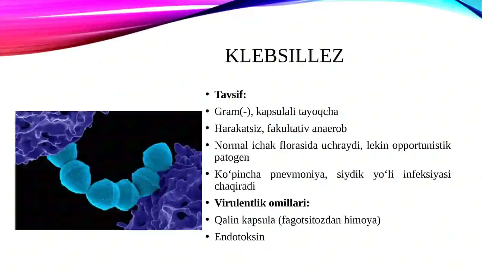 Havo-tomchi infeksiya qo‘zg‘atuvchilari: klebsillez, pnevmokokk, meningokokk, bo‘g‘ma, ko‘kyo‘tal ularga tavsif va laborator tashxisoti. Shifoxona ichi infeksiyasi va uni oldini olish. Sil, moxov  va aktinomikoz, legionella kasalliklariga tavsif va ularning laboratoriya tashxisi 3
