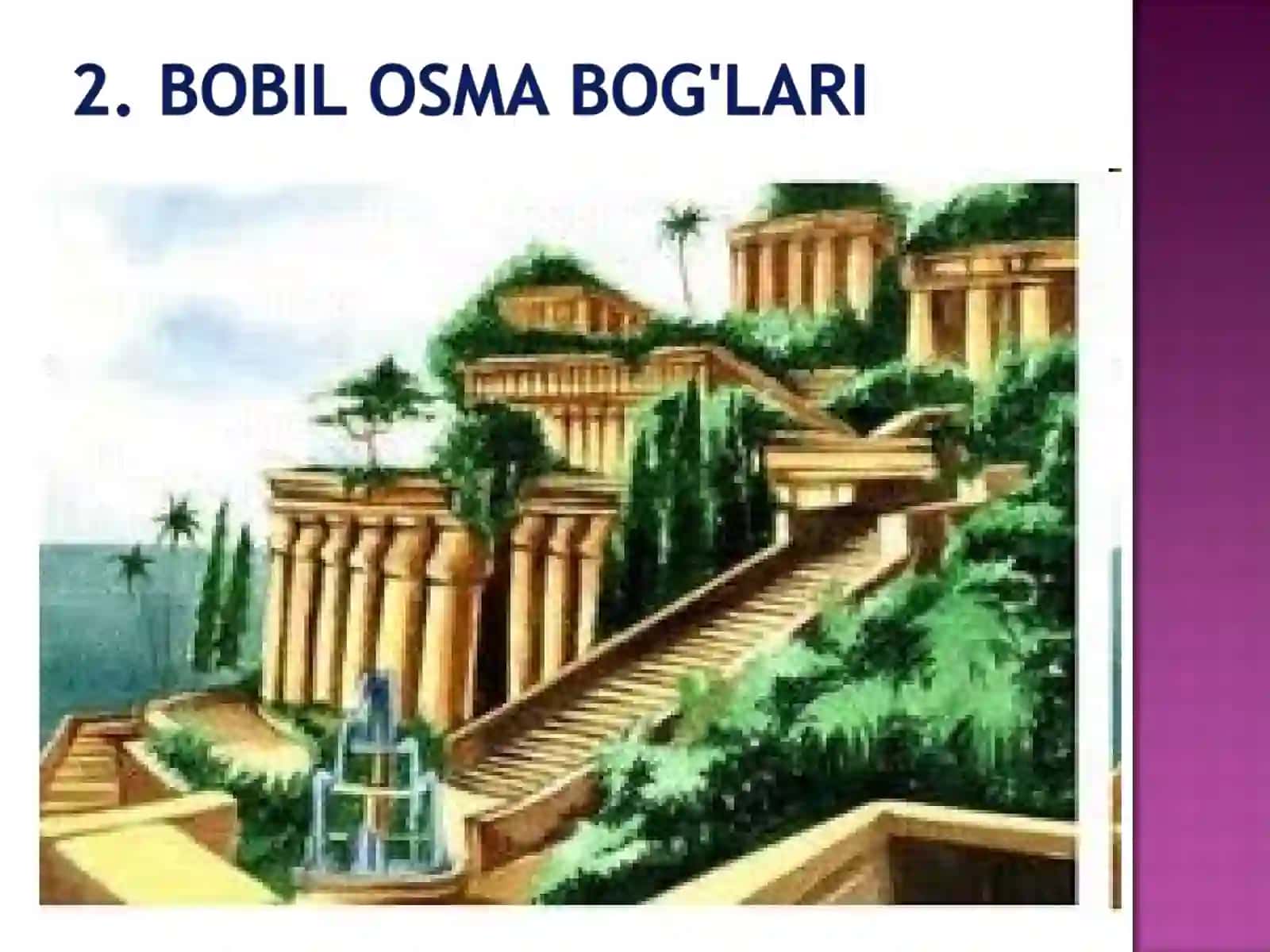 Kitob-mo’jizalar mo’jizasi 3