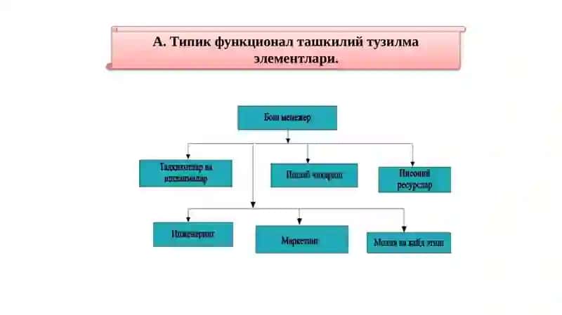 Корхона бошқарувифункционал тузилмаларининг стратегик афзалликлари ва камчиликлари 3