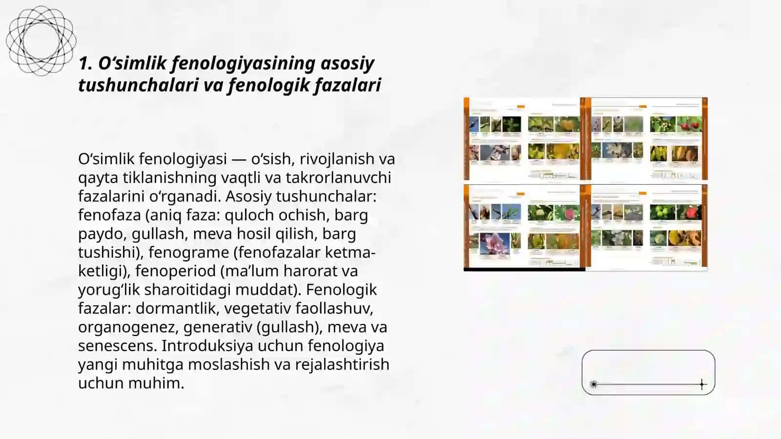 O‘simliklarning fenologik fazalari va introduksiya uchun ahamiyati 3