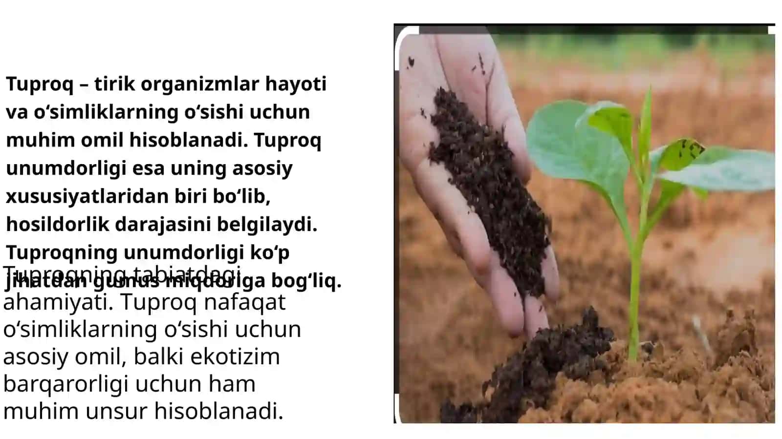 Tuproq tarkibi(14slayd) 3