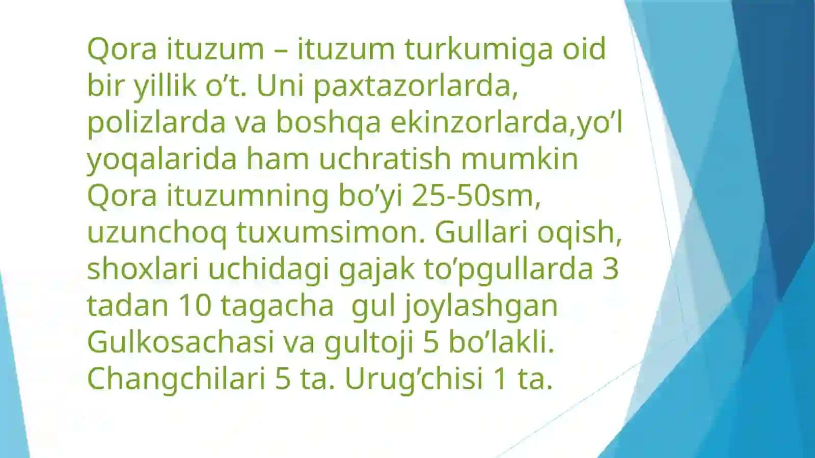 Qoraituzum 3