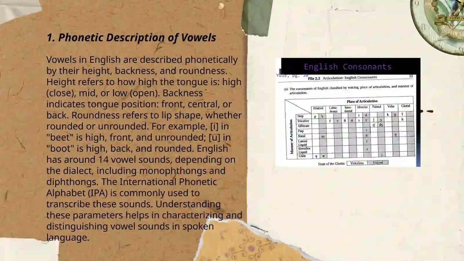 English vowels. Principles of classification 3