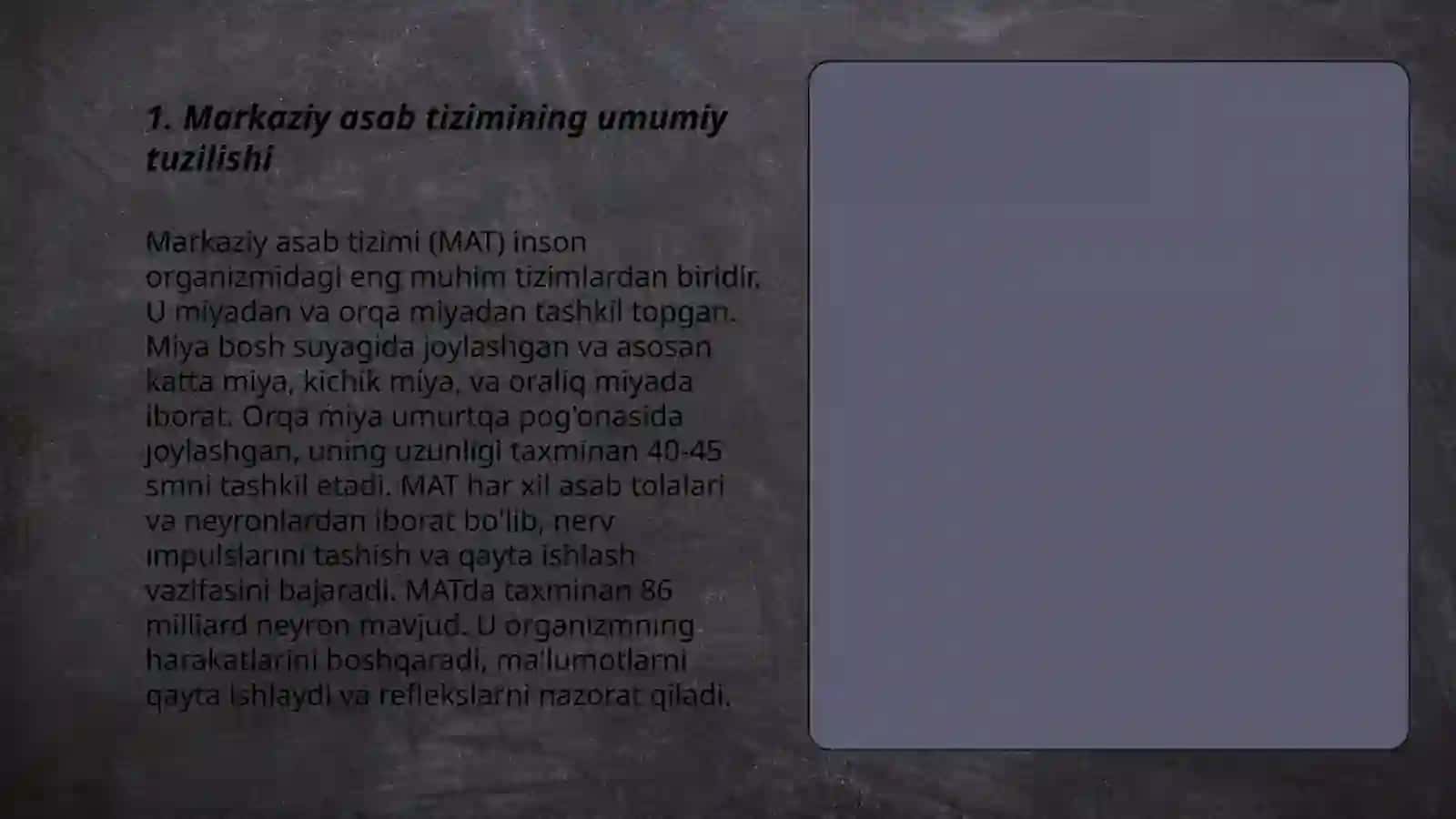 Markaziy Asab tizimi fiziologiyasi 3
