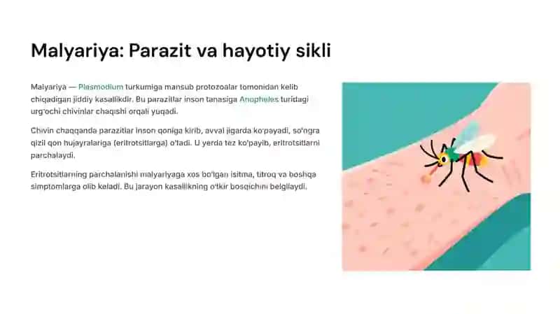 Parazitar infeksiyalar (malyariya, leyshmanioz, amebiaz) 3