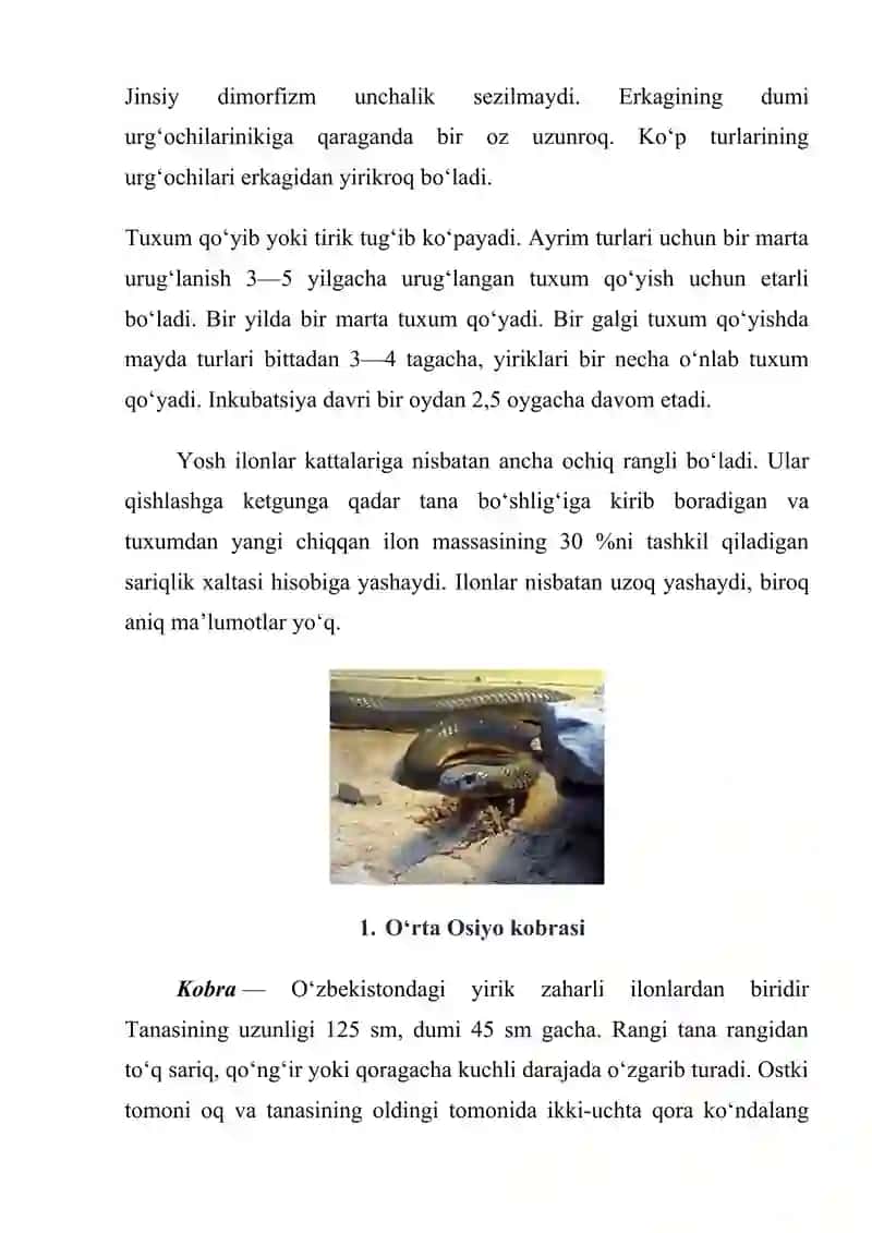 О‘ZBEKISTONNING ZAHARLI ILONLARI, ULARNING TARQALISHI VA AHAMIYATI. 3