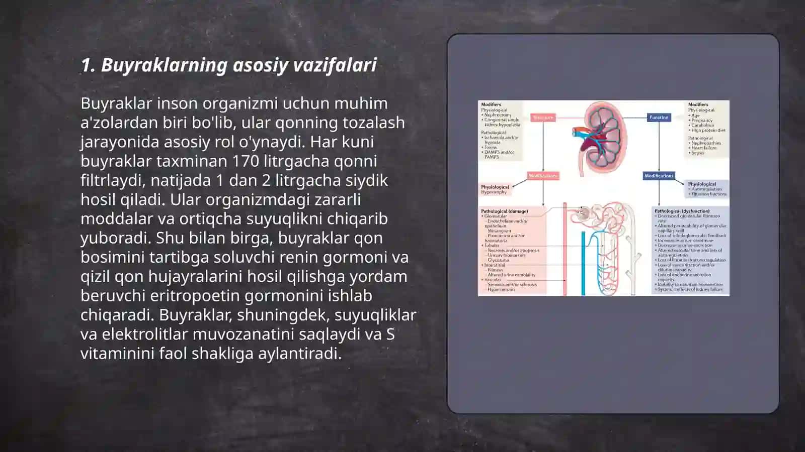Buyraklar faoliyatining o'ziga xosligi va Buyraklar bosimi 3
