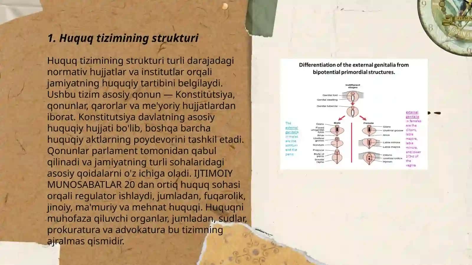 Huquq tizimi va normasi 3