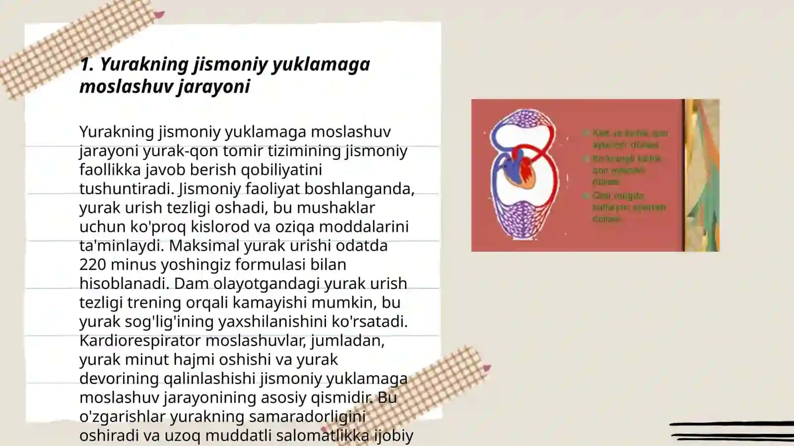 Qon tomir tizimining jismoniy yuklamaga javob berish xususiyatlari 3