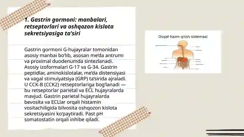 Hazmlanish jarayonining endokrin boshqariluvi 3