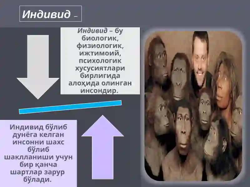 Темперамент 3