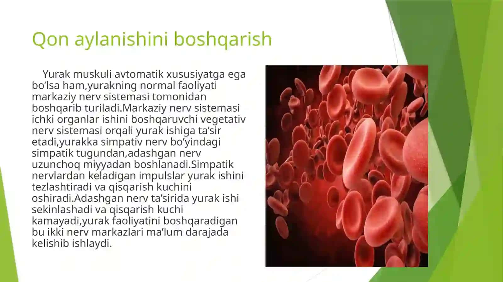 Qonaylanishiniyoshxususiyatlarivagigiyenasi 3