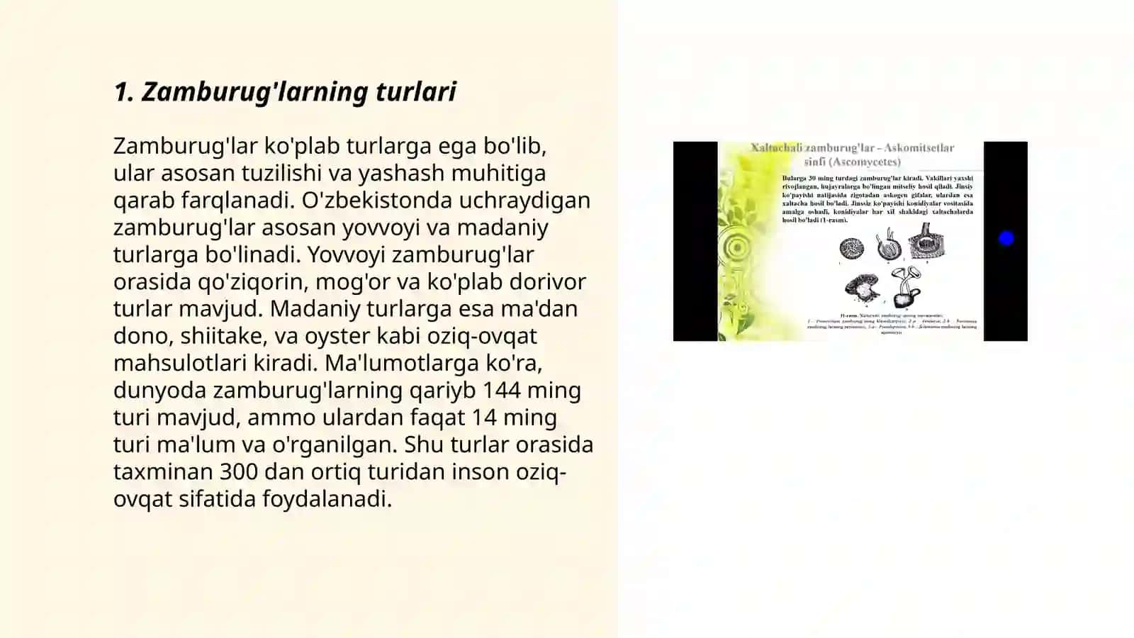Zamburug'larga qarshi vositalar 3