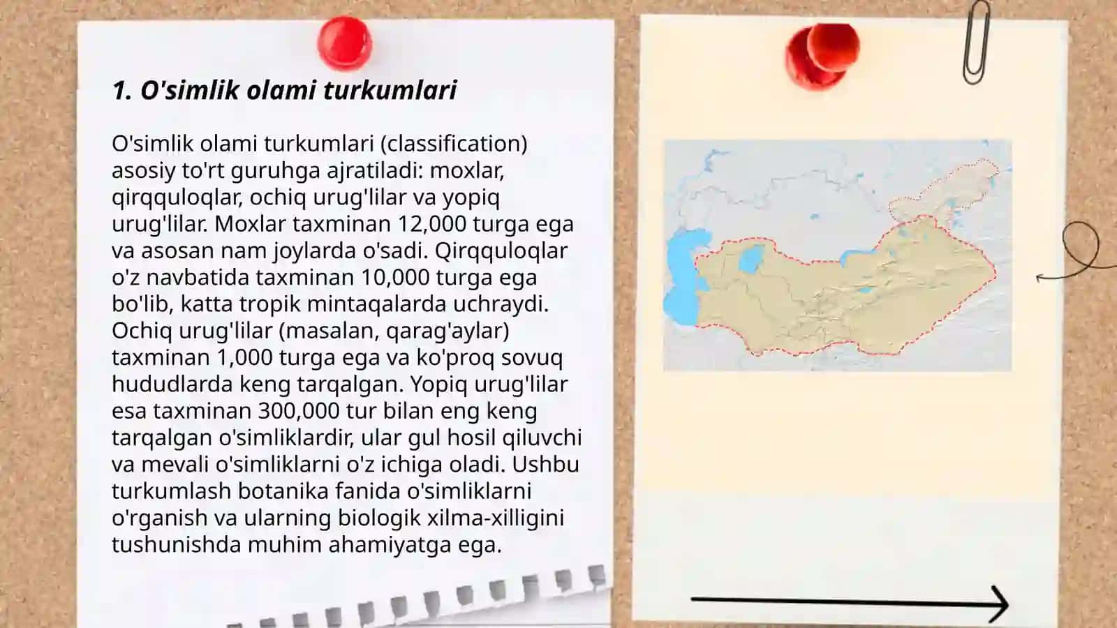 O'simlik turkumlari va ularning tabiiy joylashishlari(xaritada belgilash) 3