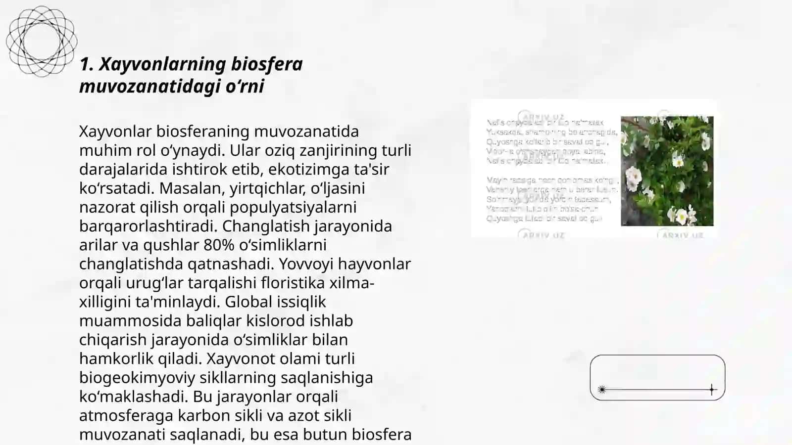 Xayvonlarning biosfera muvozanatidagi o‘rni 3