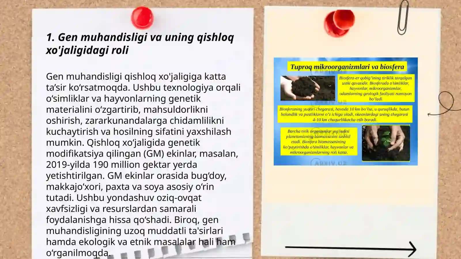 Gen muhandisligi va uning qishloq xo'jaligidagi roli 3
