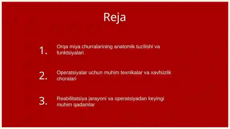 Orqa miya churralarining anatomik tuzilishi va funktsiyalari 3