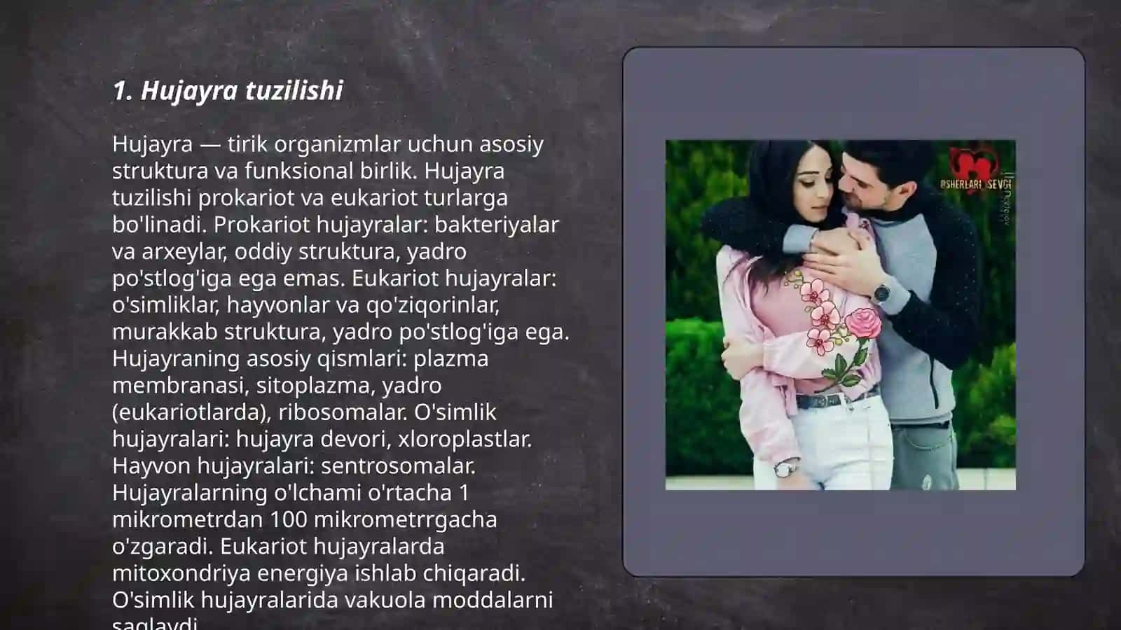 O'simlik va hayvon hujayralarining o'xshashlik va farqlari 3