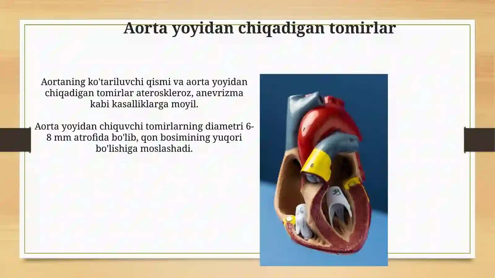 Aorta va uning yoyining anatomiyasi 3