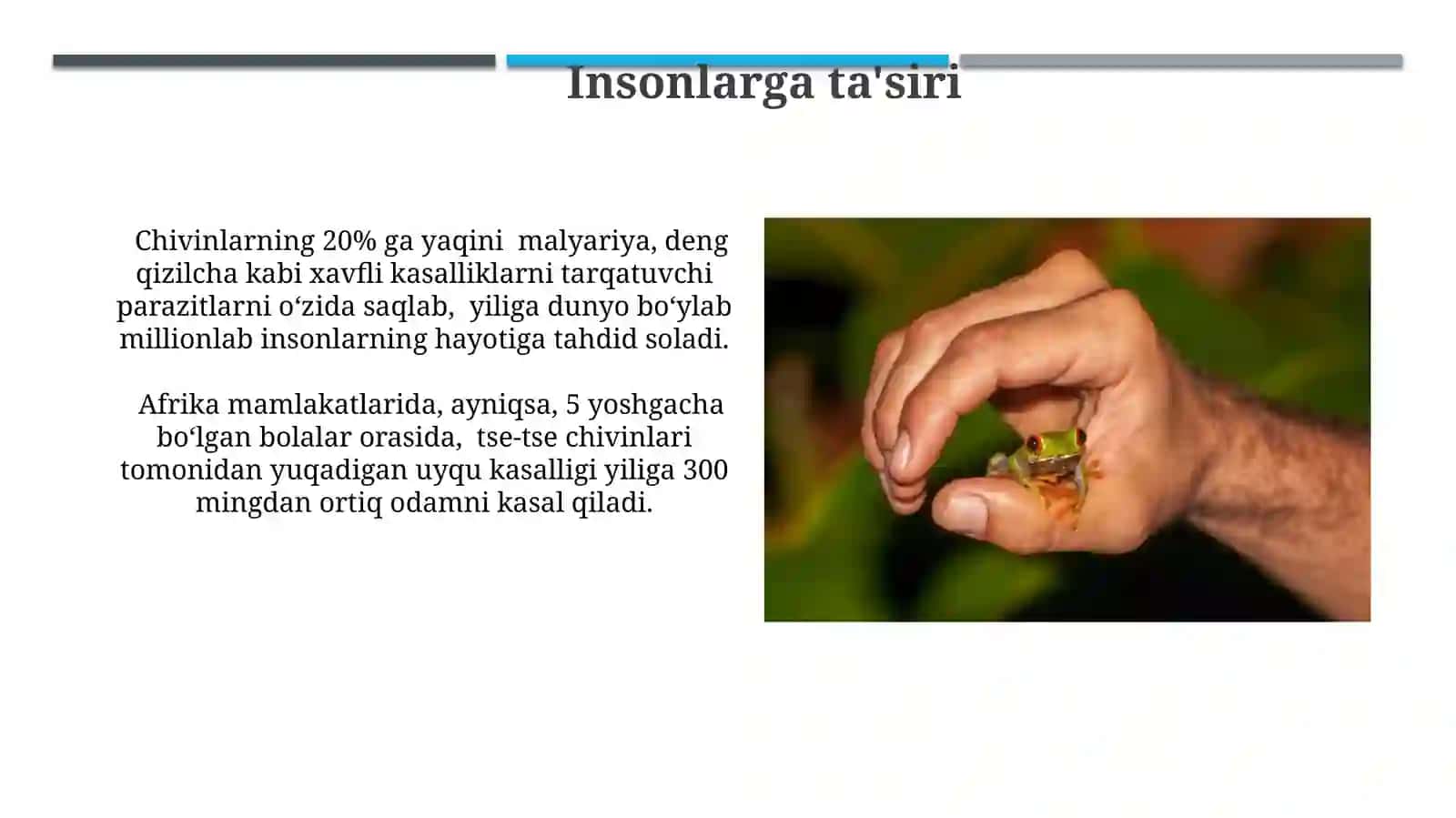 Inson va hayvonlarga zarar keltiruvchi ikki qanotlilar turkumi 3