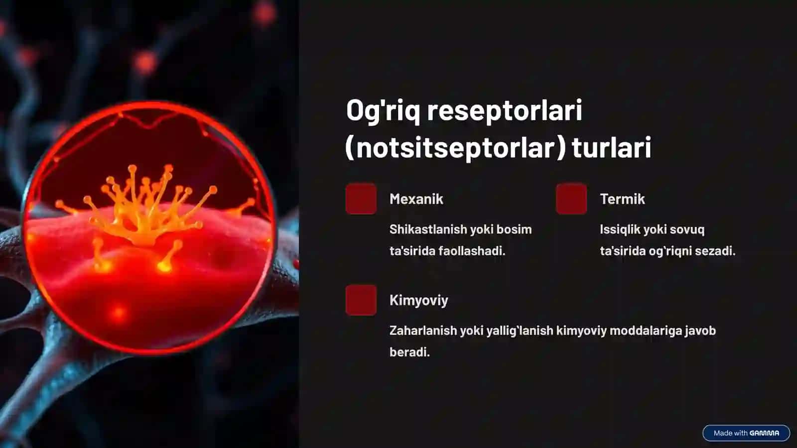 Ogʻriq sezgisi va uning neyrofiziologik analizatorlari 3