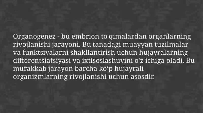 A`zolari sistemasi ontogenzi: teri, skelet, nerv sistemasi, qon aylanish, endokrin tizimi, ayiruv sistemasi 3