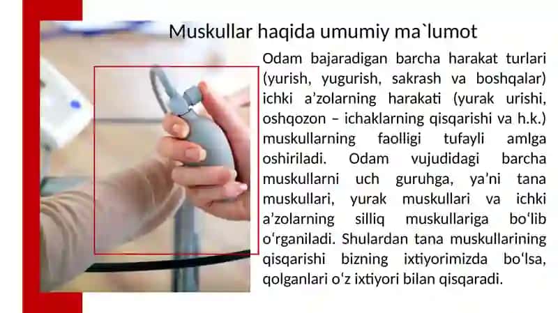 Muskullarning tuzilishi va yoshga bog`liq xususiyatlari 3