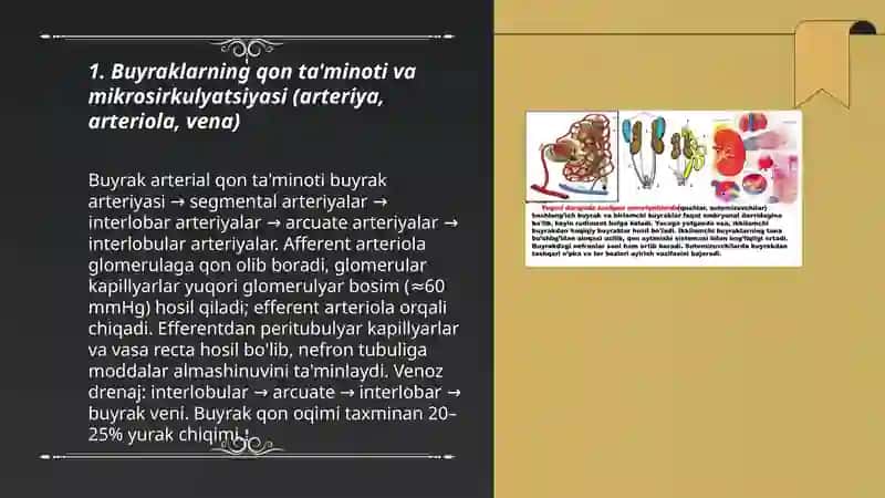 Buyraklarda qon aylanish va siydik ajratish jarayonlari 3
