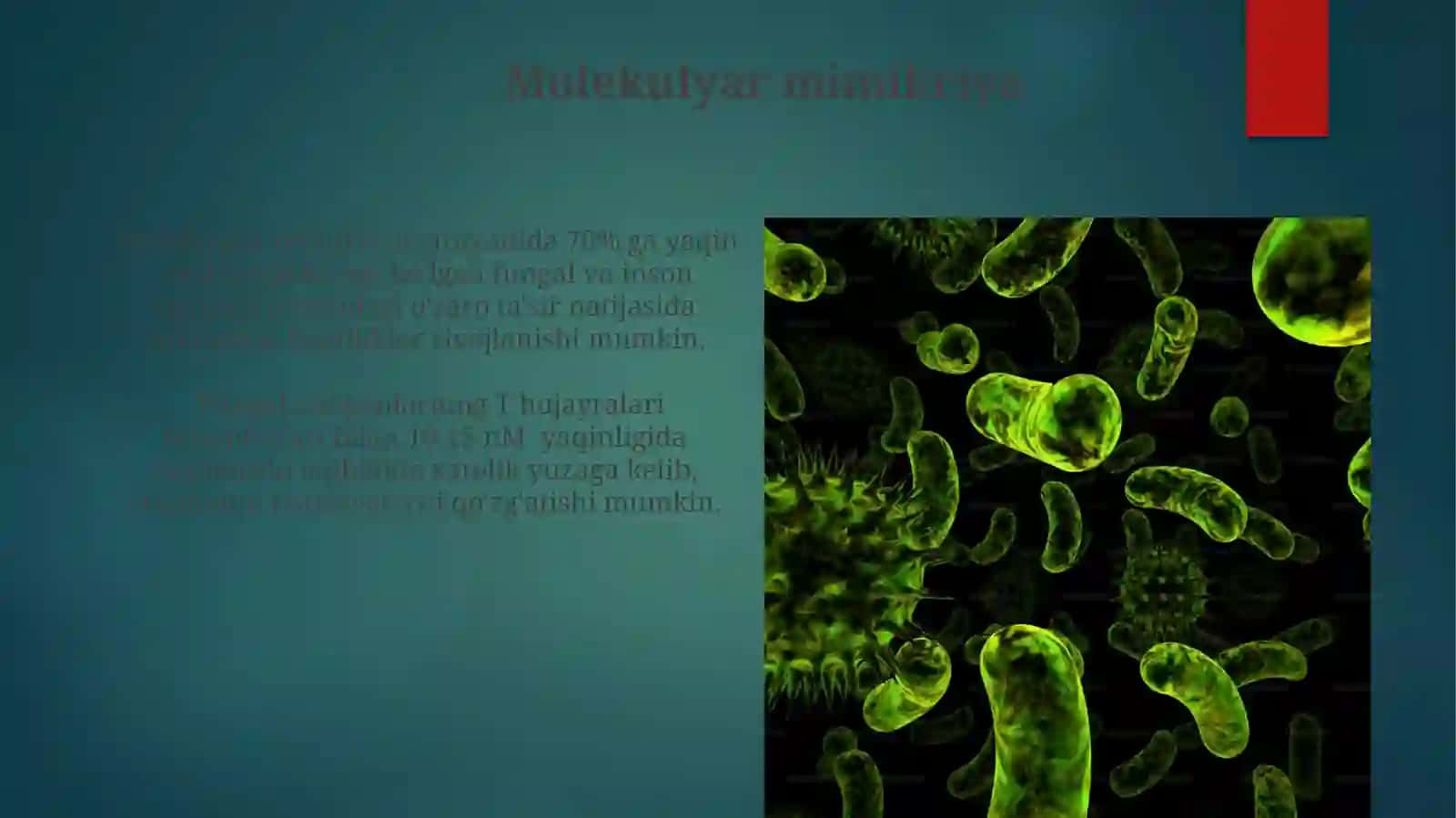 Molekulyar mimikriya 3