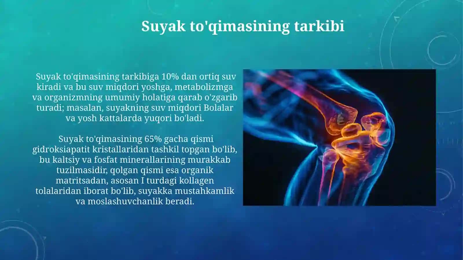 Suyak toʻqimasi.birikishi.Boʻlim yuzalarining xillari va boʻgʻim turlari 3