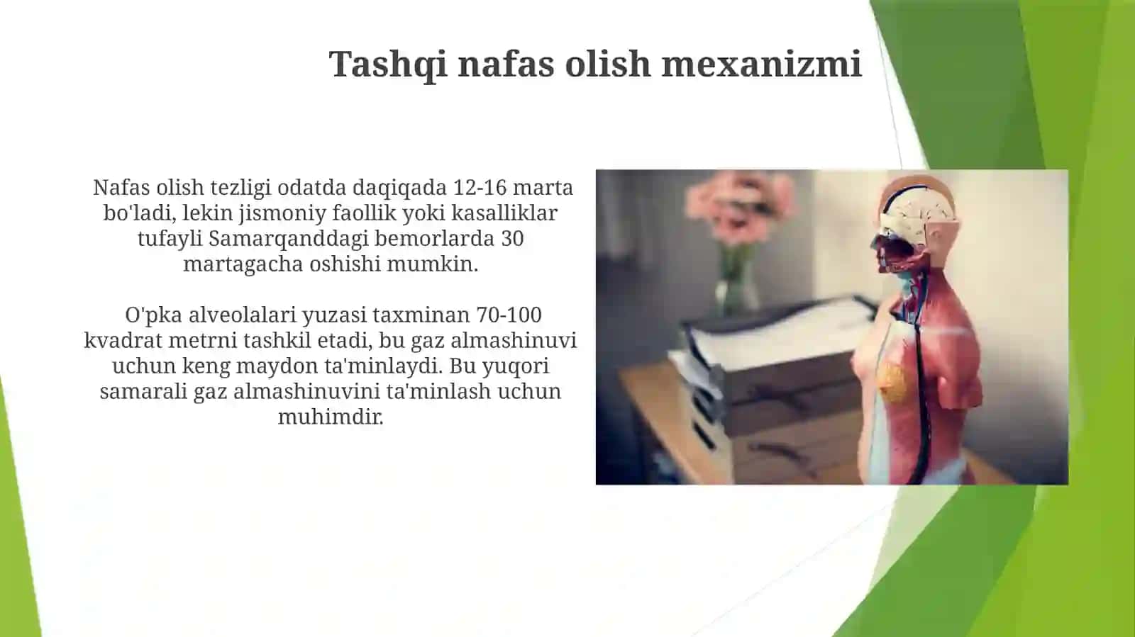 Nafasolishfizalogiyasi 3