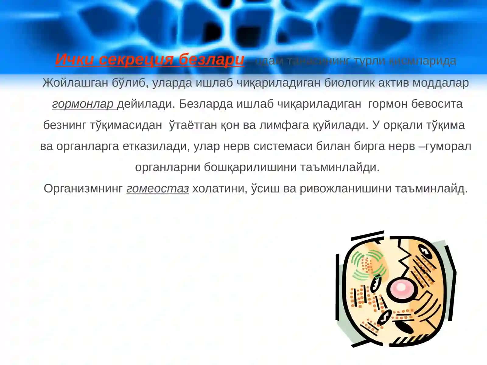Jinsiy bezlarning endokrin funksiyasi va ularning funksiyalarining buzilishiga bog'liq kasalliklar 3