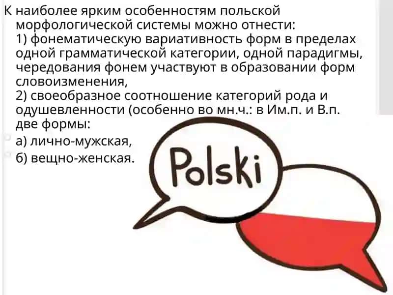 ПРЕЗЕНТАЦИЯ НА ТЕМУ: ПОЛЬСКИЙ ЯЗЫК 3