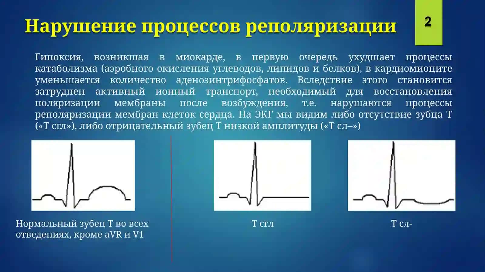 ГИПОКСИЯ И ИШЕМИЧЕСКОЕ ПОРАЖЕНИЕ МИОКАРДА 3