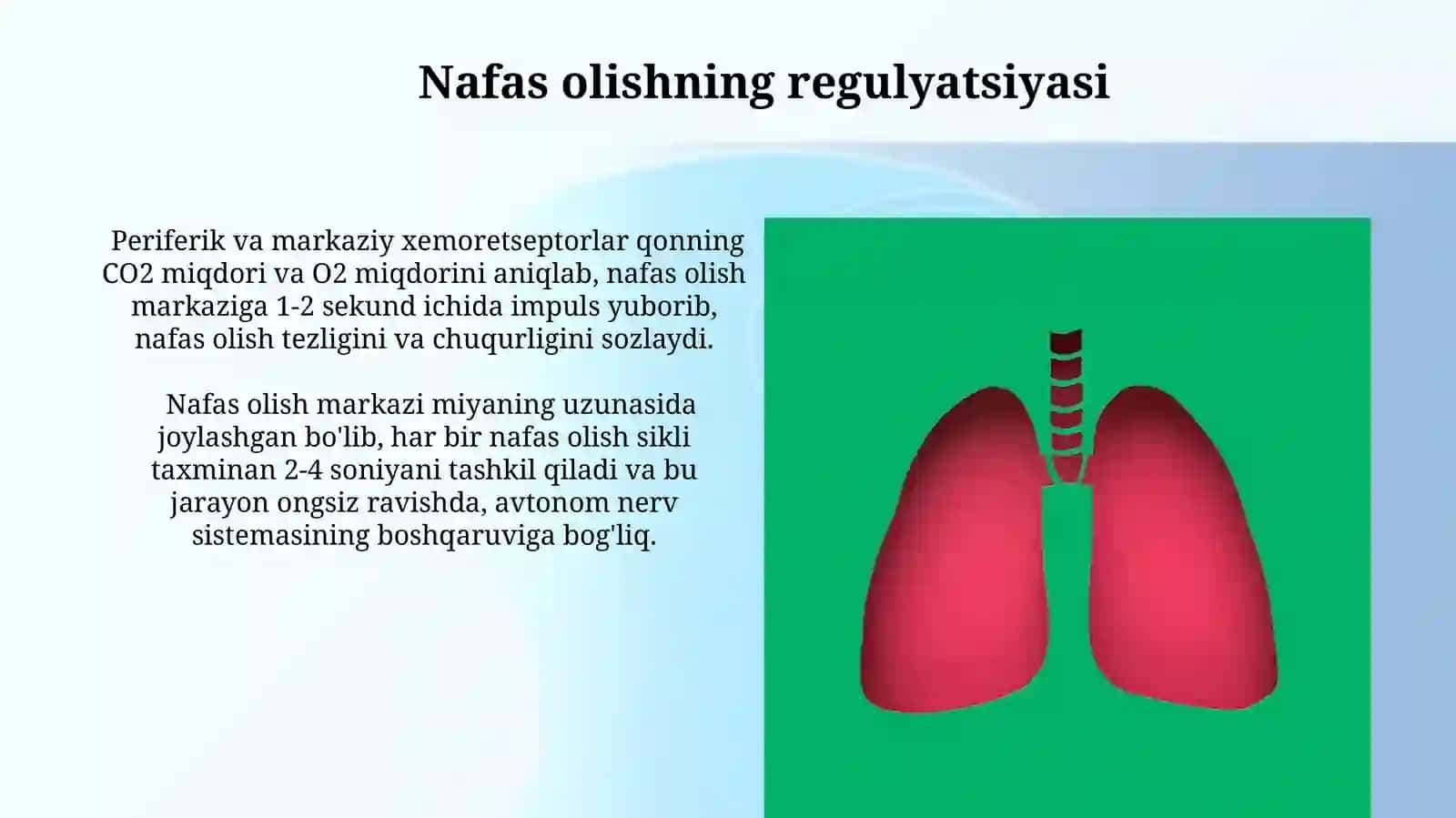 Nafas olish sistemasining fizikasi 3