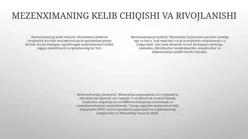 Mezenximaning Tuzilishi Va Ahamiyati 3