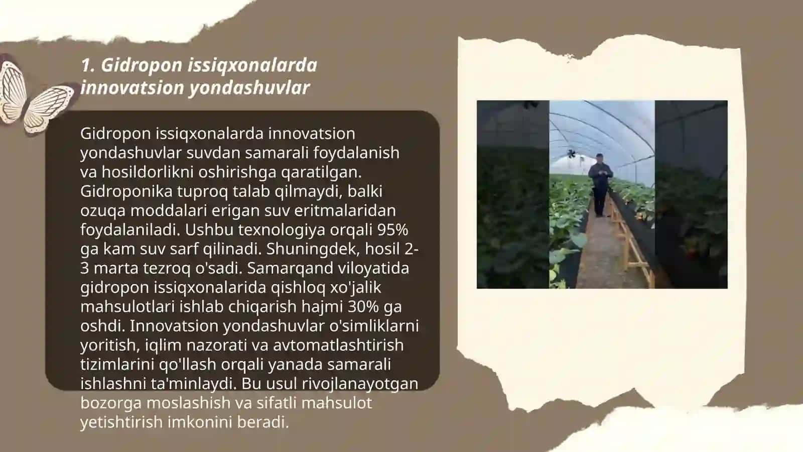 Gidropon issiqxonalarda innovatsion yondashuvlar 3