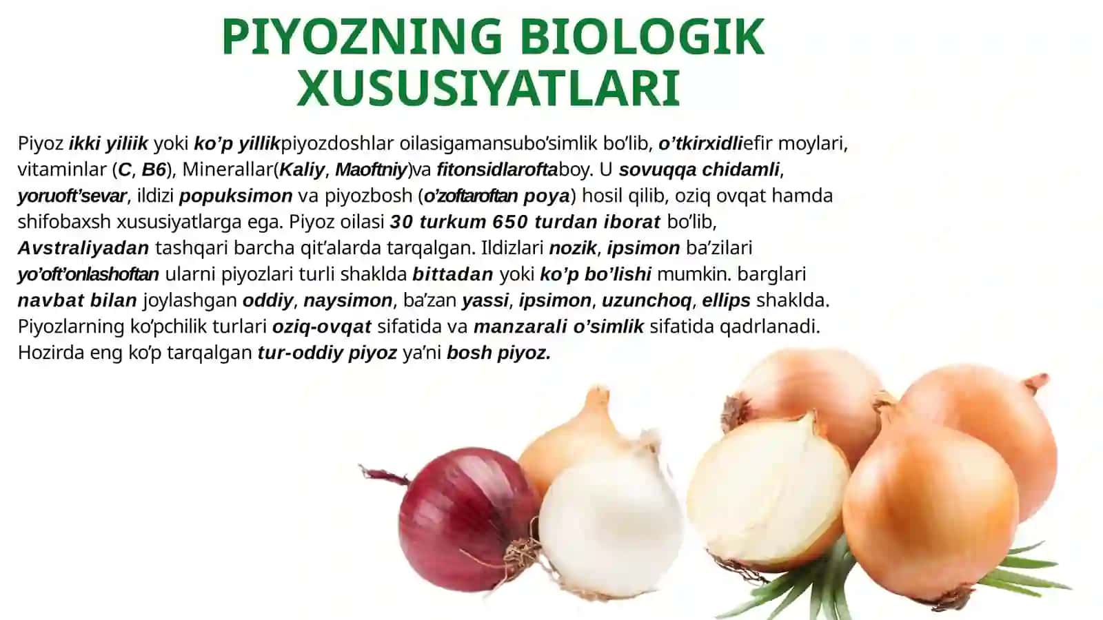 Piyoz quritish texnalogyayasi 3