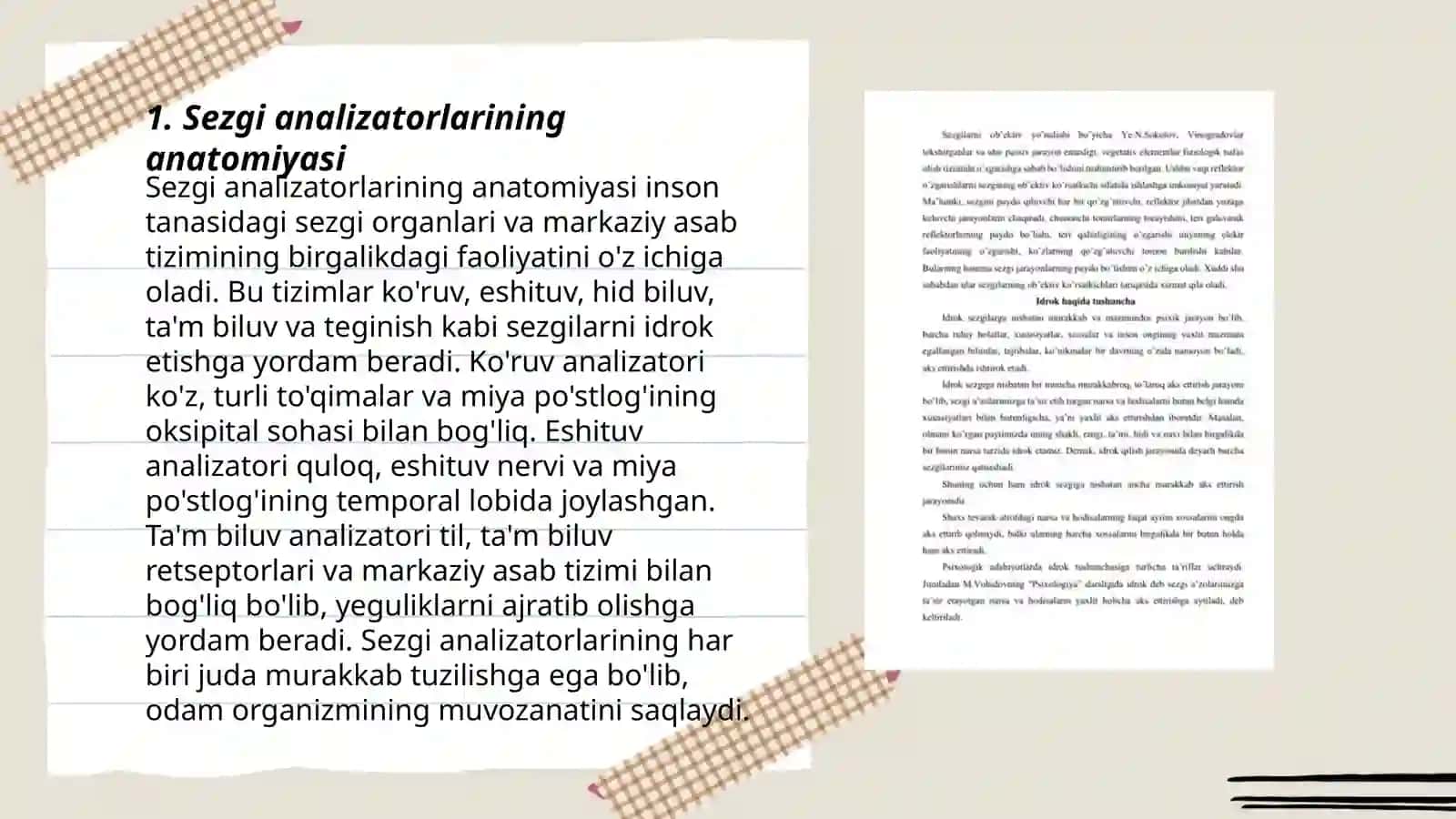 Sezgining reseptor va reflektor nazariyasi haqida Sezgi analizatorlari 3