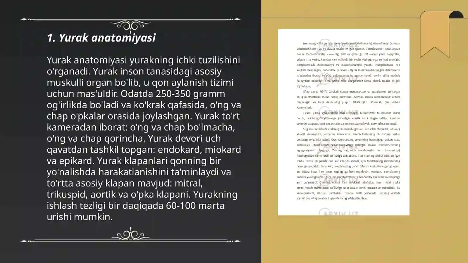 Yurak qon tomir tizimi 3