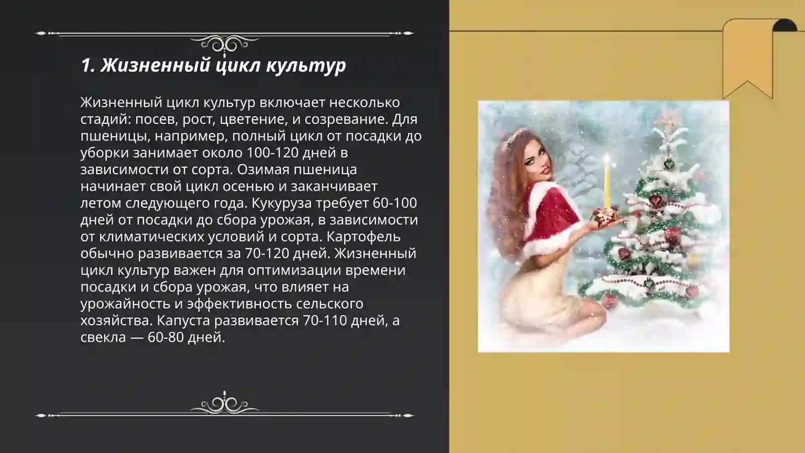 Освальд Шпенглер "Угасание Европейского Солнца" 3