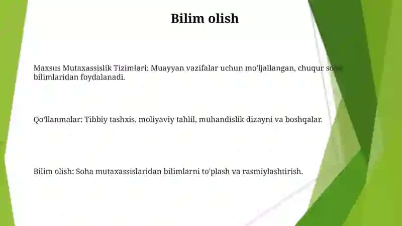 Maxsus ekspert tizimlari 3