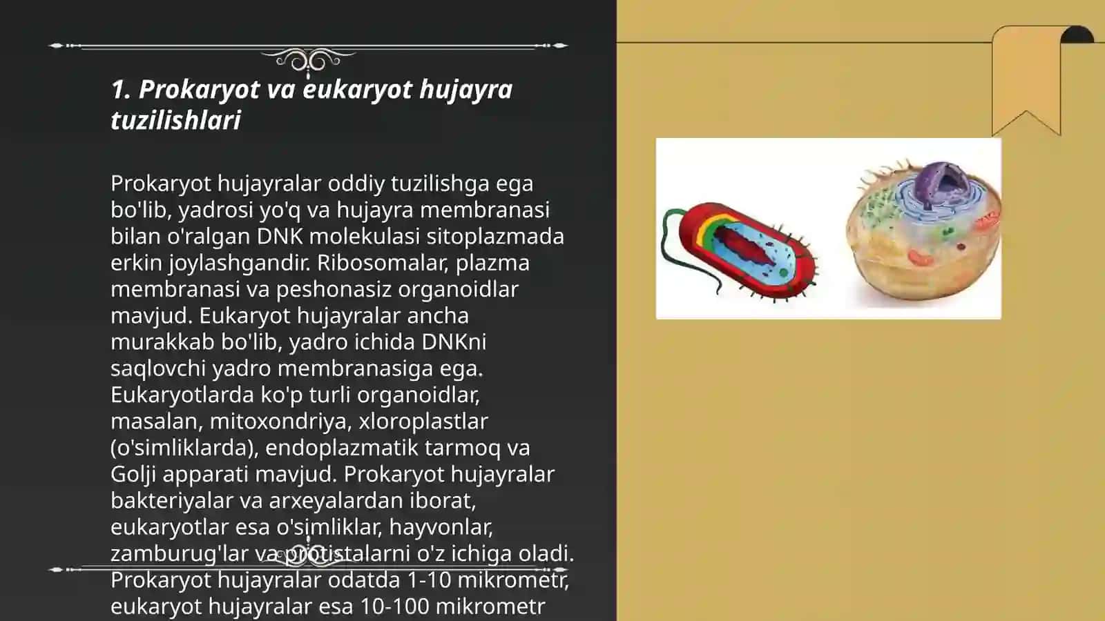 Prokariot va eukariot hujayralar tuzilishini qiyosiy oʻrganish. Qodirqulova Aziza 3