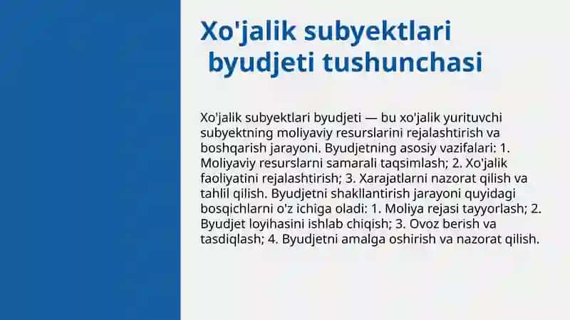 Xo'jalik yurituvchi subyekt byudjeti mohiyati va uni shakllantirish 3