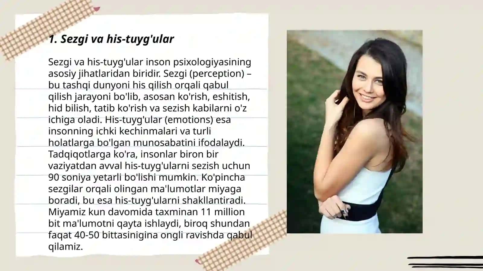 Sezgi 3