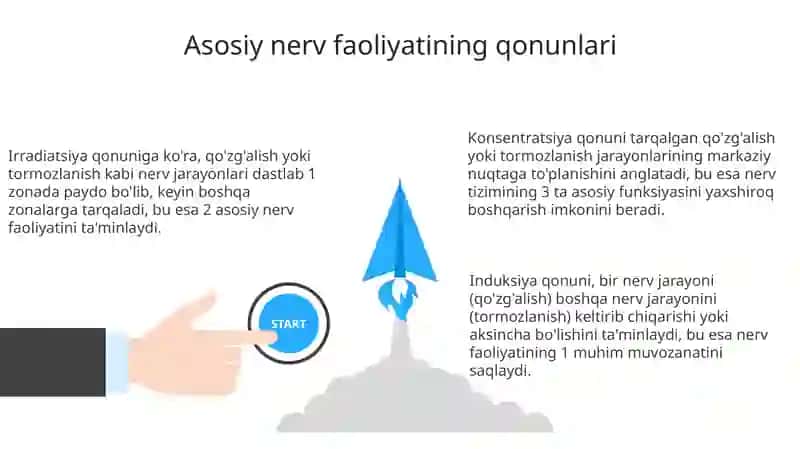 Oliy nerv qonuniyatlarining asosiy qonuniyatlari 3