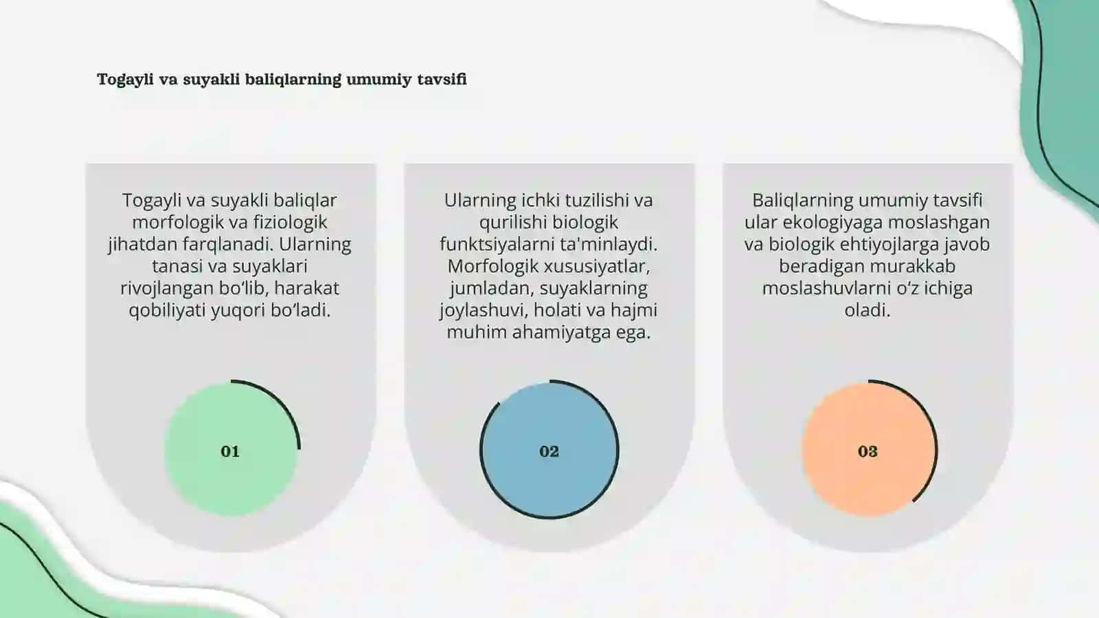 Togayli va suyakli baliqlarning morfologik va fiziologik xususiyatlariga qiyisiy tarif 3