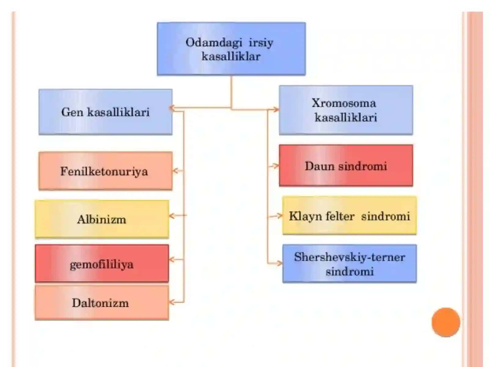 Gen kasalliklari.Fenilketonuriya 3
