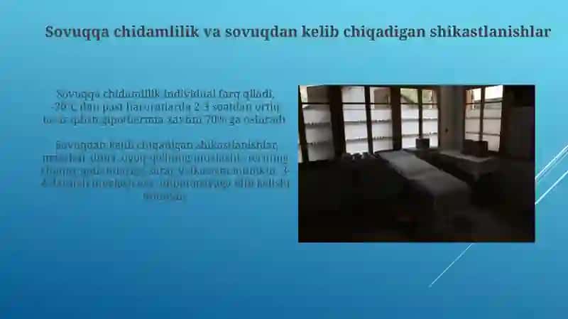 Tog'li hududlarda xizmat qilayotgan harbiy xizmatchilarda uchraydigan terapevtik kasalliklar 3