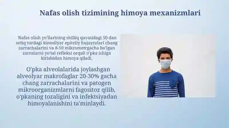 Nafas olish tizimining funksiyalari 3